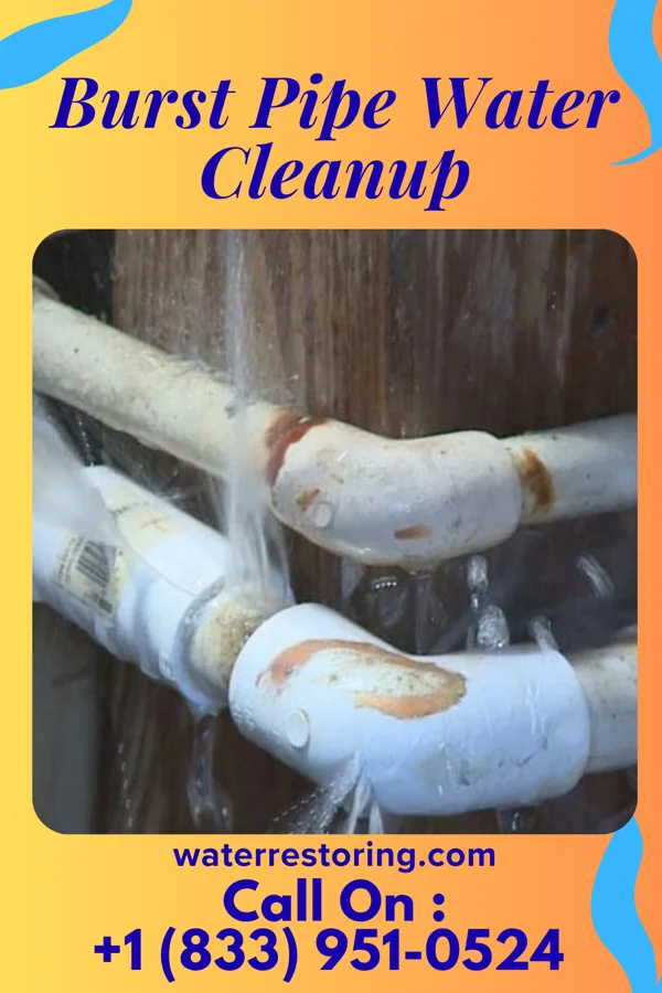 Burst Pipe Water Cleanup in Coalport, PA