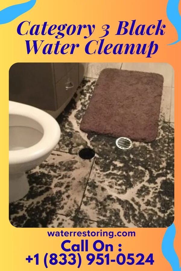 Category 3 Black Water Cleanup in Coalport, PA