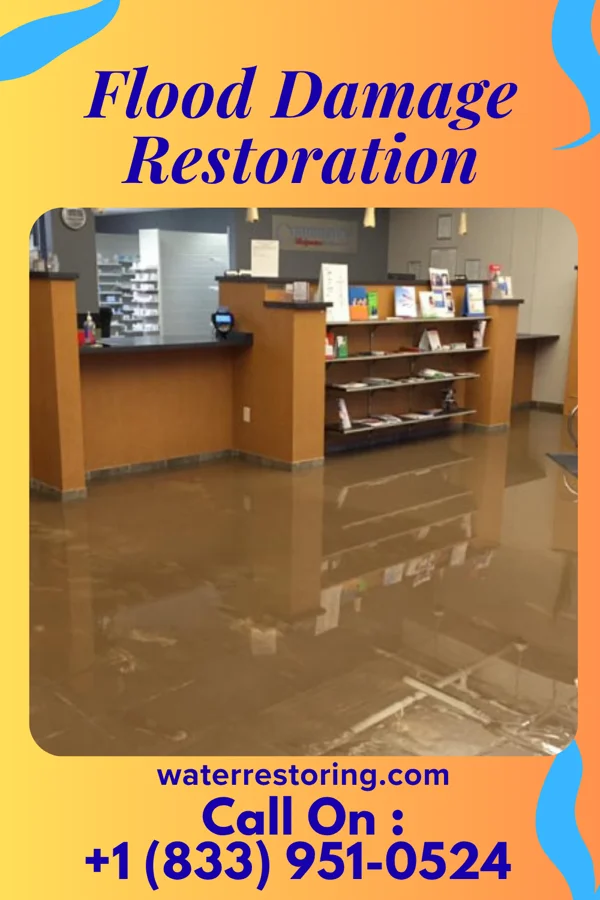 Flood Damage Restoration in Coalport, PA