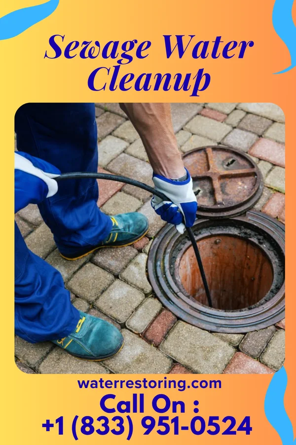 Sewage Water Cleanup in Coalport, PA