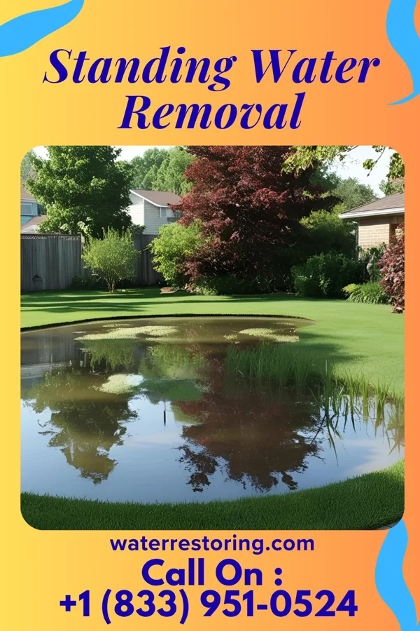 Standing Water Removal in Coalport, PA